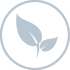 circle_dummy.png