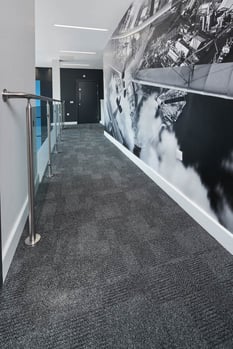 Cove base in hallway with mural.jpg